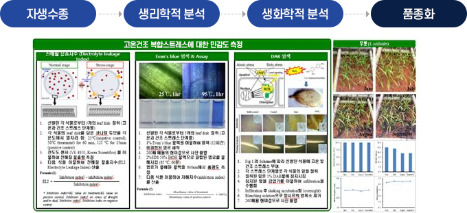 자생수종 > 생리학적 분석 > 생화학적 분석 > 품종화