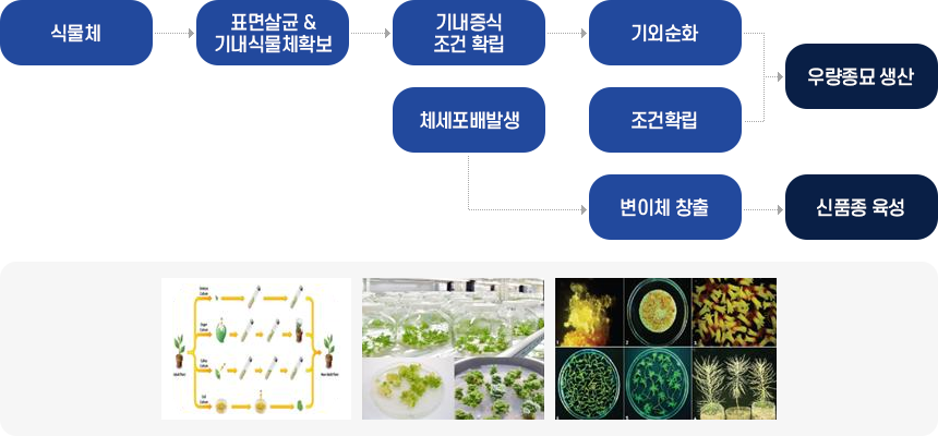 참고 이미지. 자세한 설연은 하단 참조