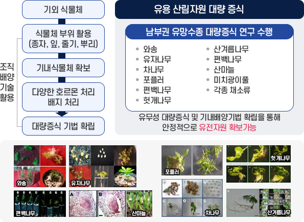 자세한 설연은 하단 참조