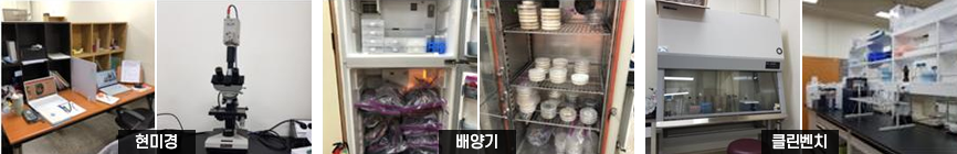 현미경, 배양기, 클린벤치