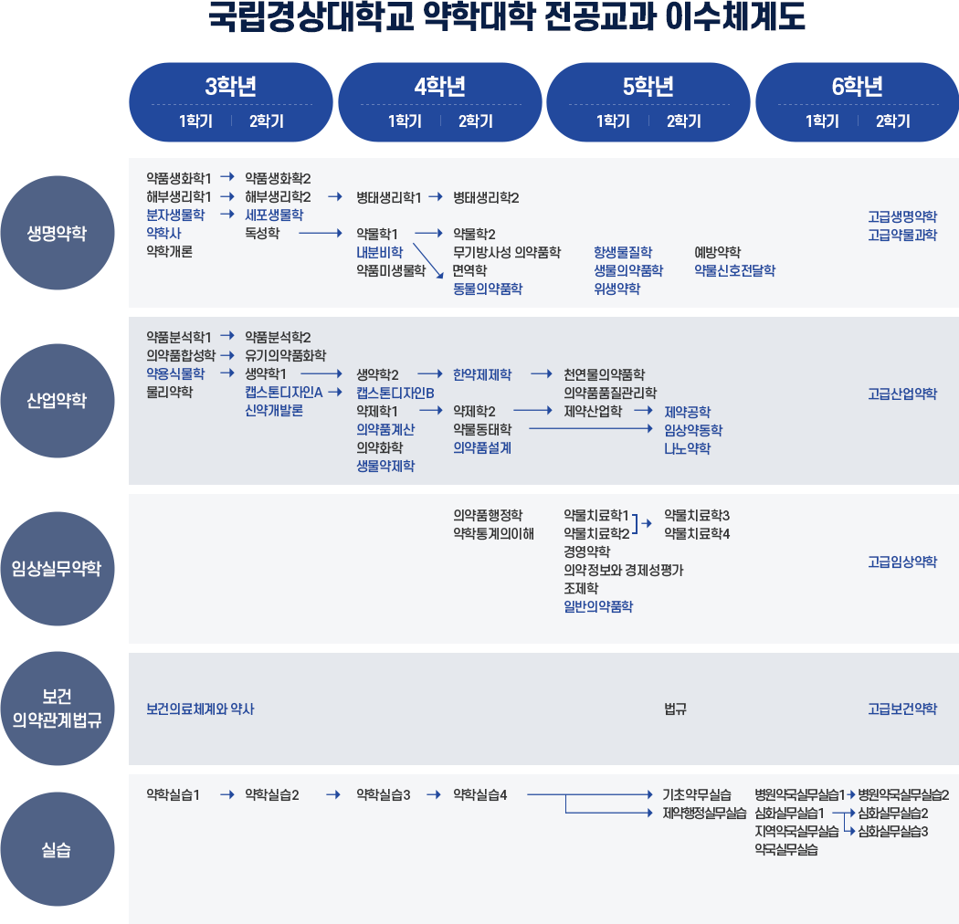 교육과정 이수체계도