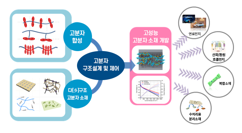 연구분야