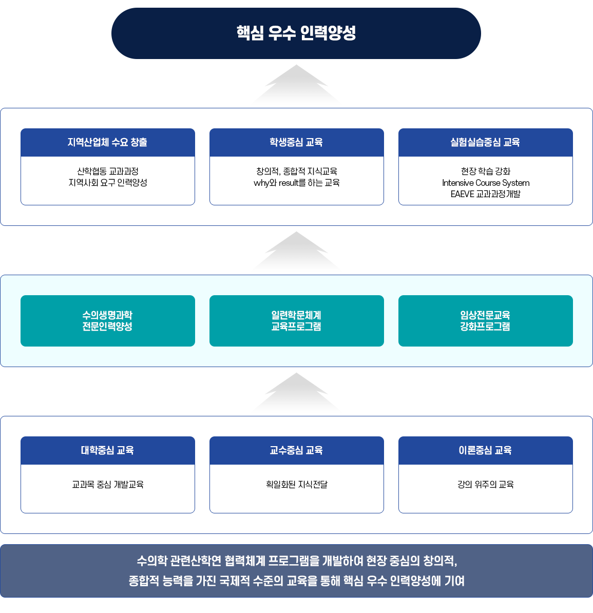 교육체계 개편 전략 모식도