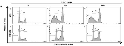 RT-PCR, western blot, Real-time image